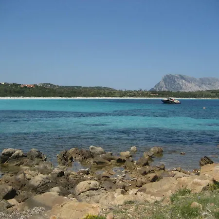 Daire Via Alghero San Teodoro (Sardinia)